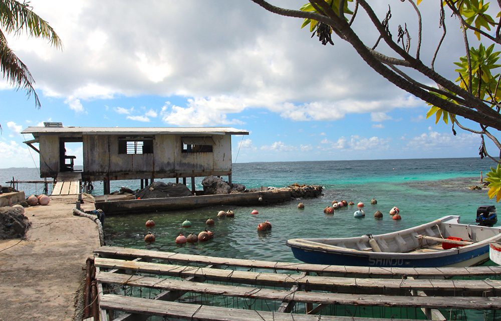 Polynésie française : les meilleures activités à Manihi