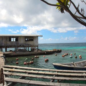 Des idées d’activités à Manihi en Polynésie française