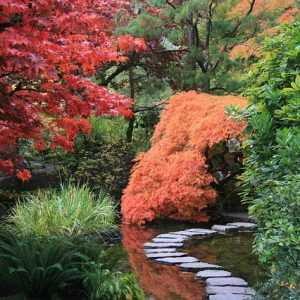 architecte paysagiste jardin japonais