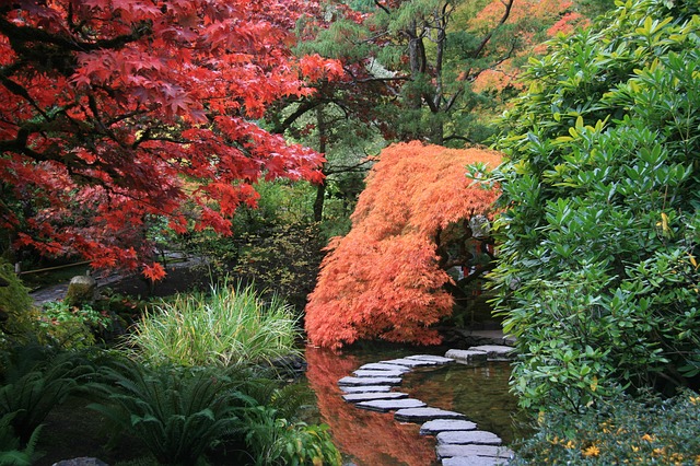 Architecte paysagiste jardin japonais : Comment concevoir un jardin japonais à la maison