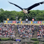 Puy du Fou