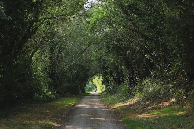 route Vendéen