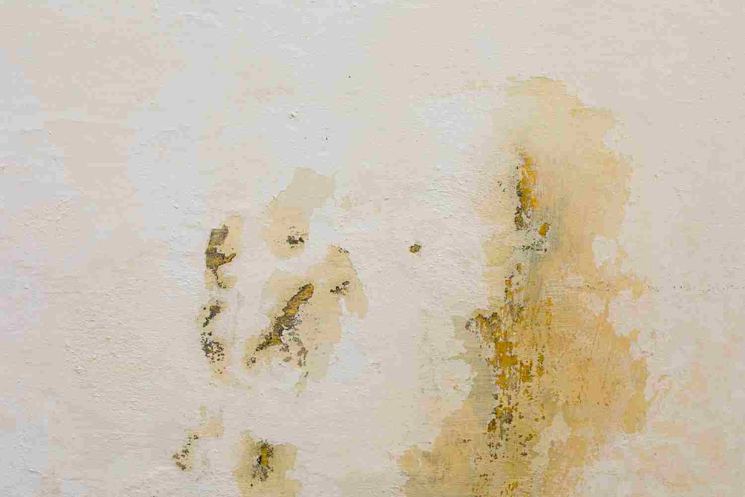 peinture contre l'humidité