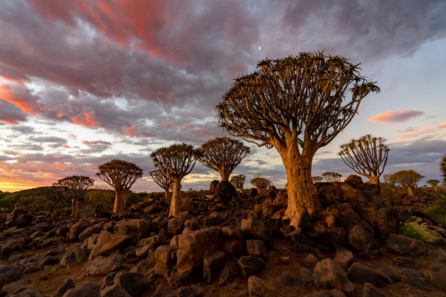 Les bonnes raisons d’opter pour un voyage en Namibie pour les vacances d’été 2025